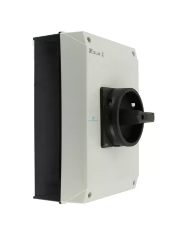 Interrupteur-sectionneur tripolaire Eaton P3-63/i4/svb-sw avec boîtier d'interrupteur principal